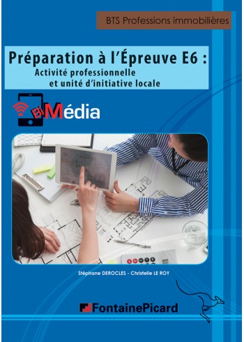 Préparation à l'épreuve E6 : Activité professionnelle et UIL