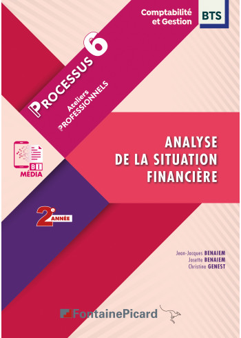 Processus 6 - Analyse de la situation financière